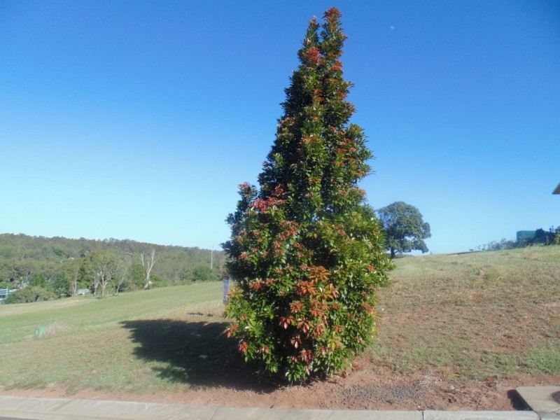 Apple Tree Creek QLD 4660
