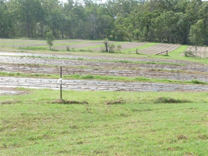 Apple Tree Creek QLD 4660