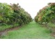 Goodwood QLD 4660