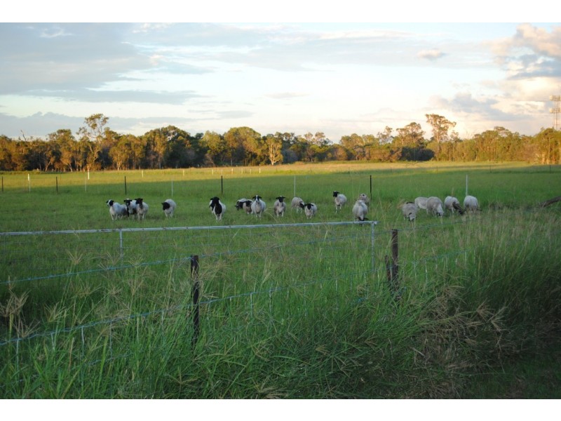 Goodwood QLD 4660