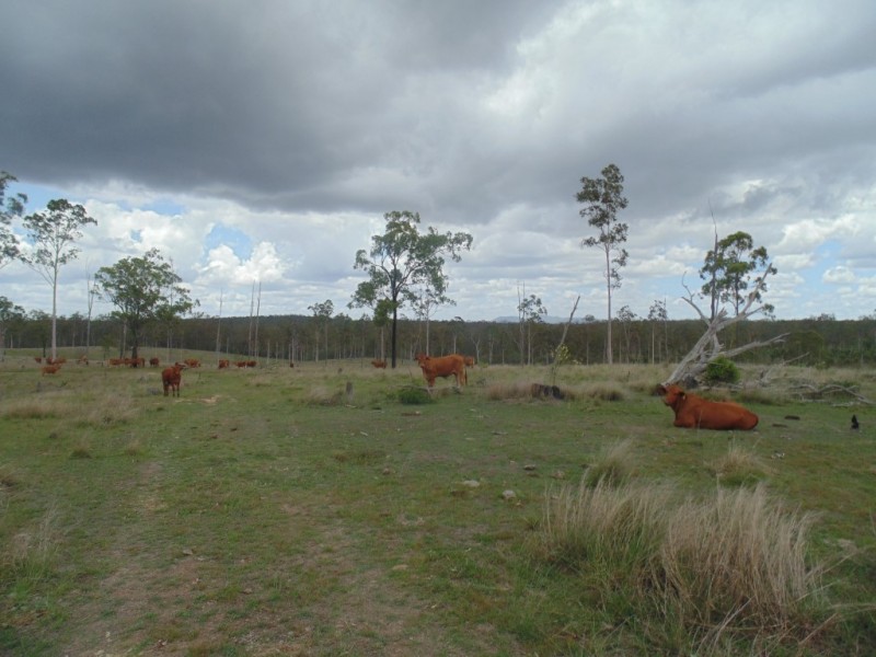 Apple Tree Creek QLD 4660