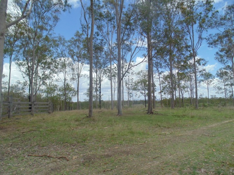 Apple Tree Creek QLD 4660