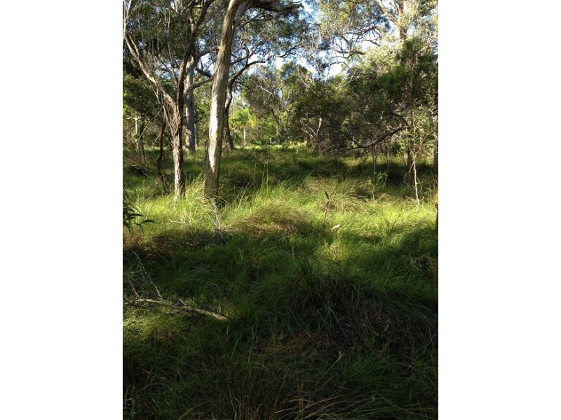 Agnes Water QLD 4677