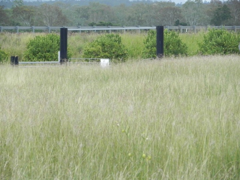 Duingal QLD 4671