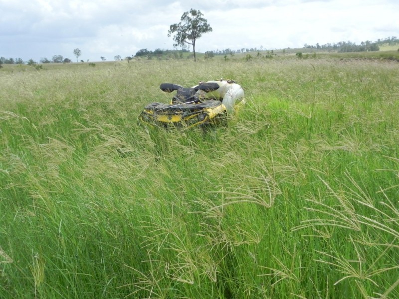 Duingal QLD 4671