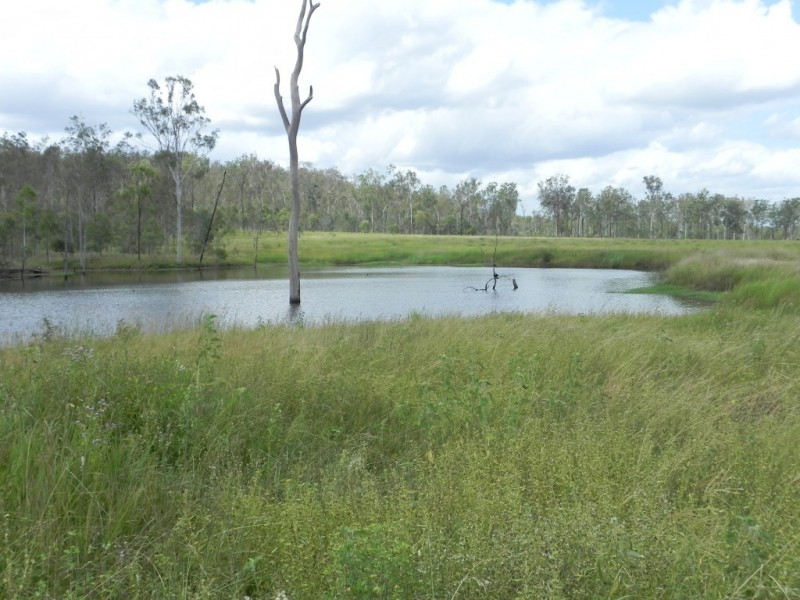 Duingal QLD 4671