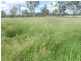 Duingal QLD 4671
