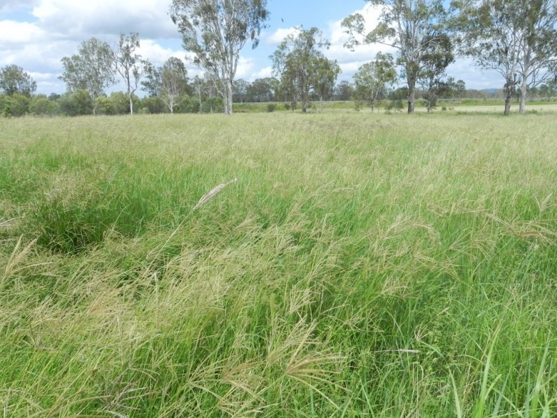 Duingal QLD 4671