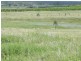 Duingal QLD 4671