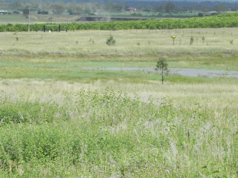Duingal QLD 4671