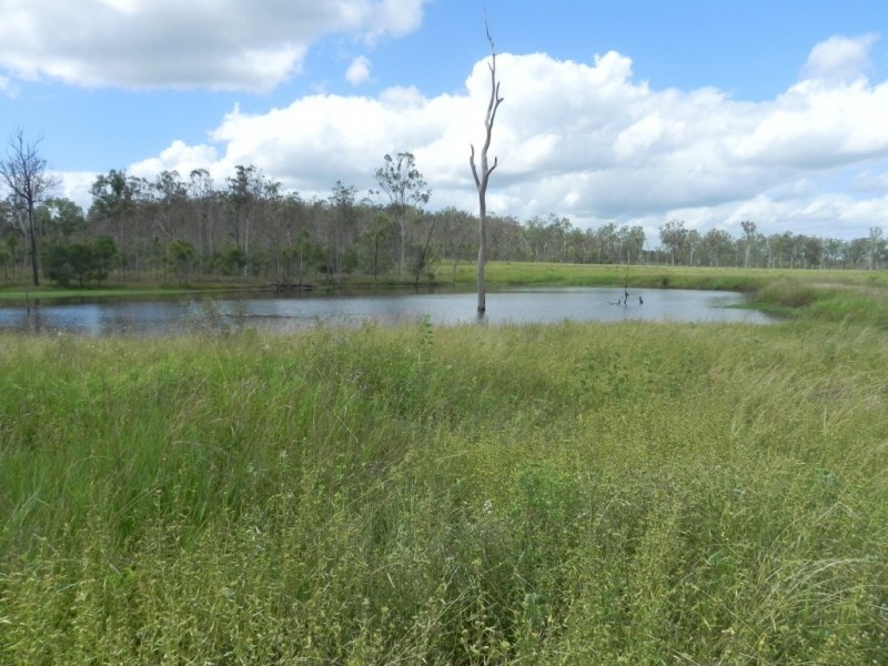 Duingal QLD 4671