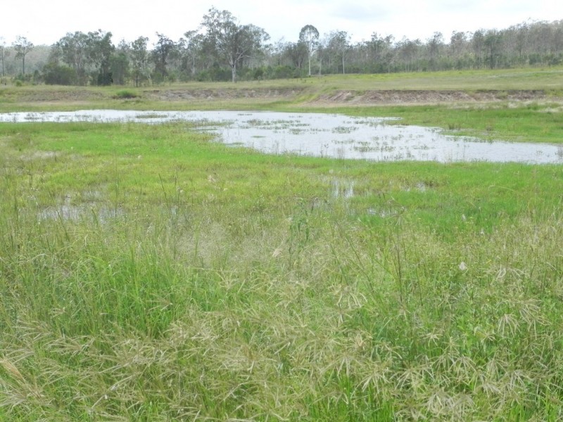 Duingal QLD 4671