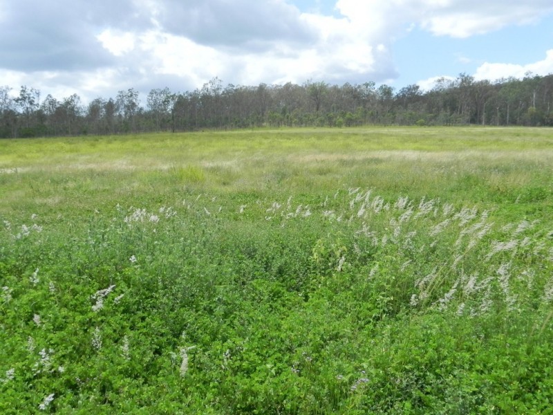 Duingal QLD 4671
