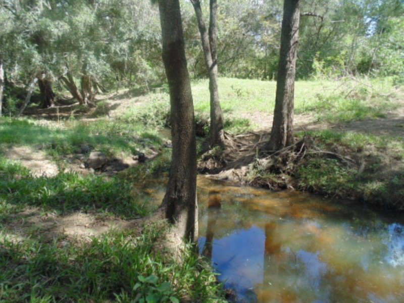 Horse Camp QLD 4671