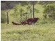 Dallarnil QLD 4621