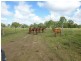 Dallarnil QLD 4621