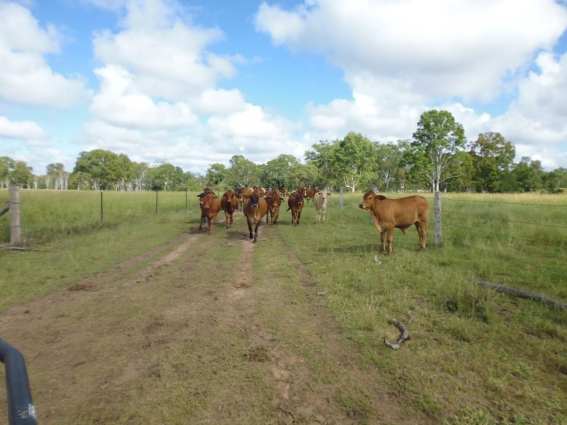 Dallarnil QLD 4621