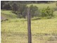 Dallarnil QLD 4621