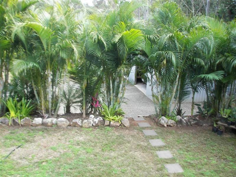 Apple Tree Creek QLD 4660