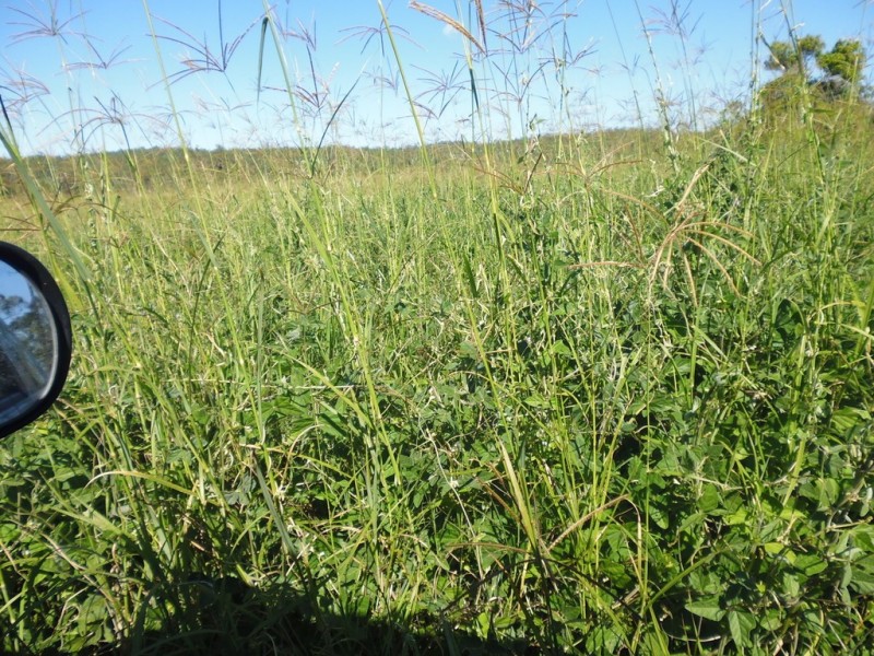 South Isis QLD 4660