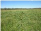 South Isis QLD 4660