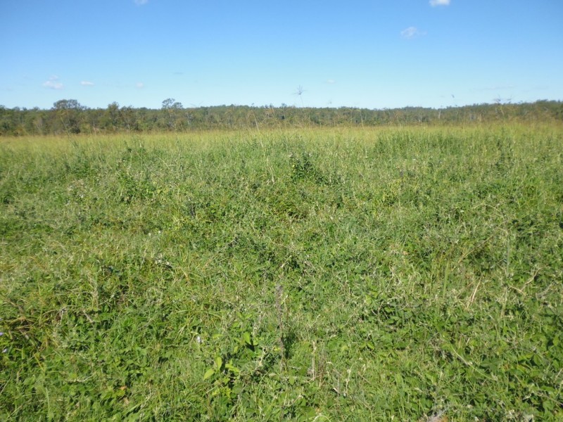 South Isis QLD 4660