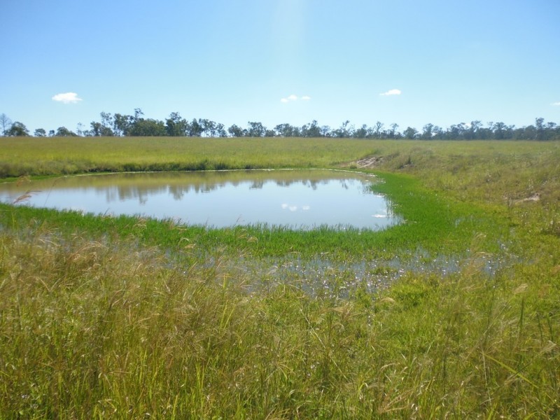 South Isis QLD 4660