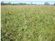 South Isis QLD 4660