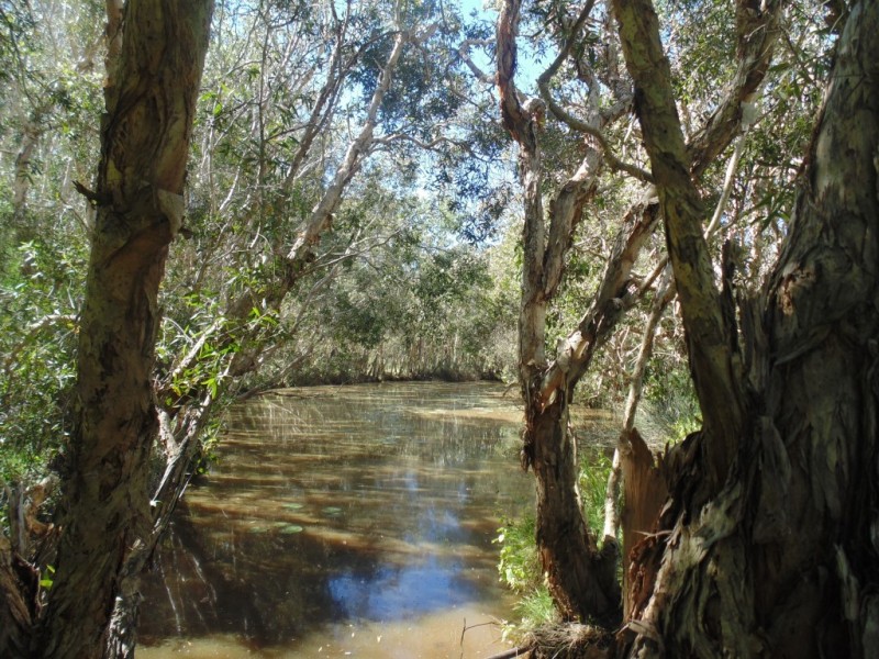 Redridge QLD 4660