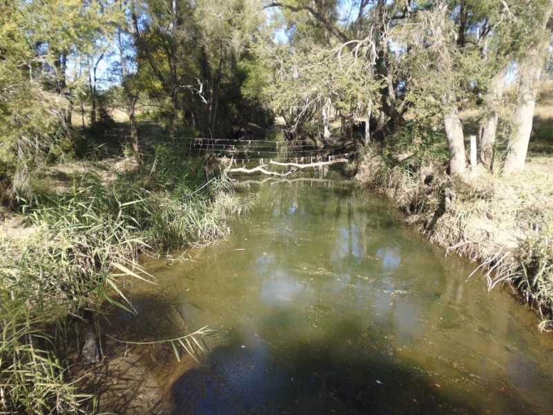 Mount Steadman QLD 4650