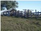 Mount Steadman QLD 4650