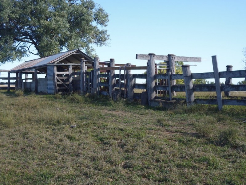 Mount Steadman QLD 4650