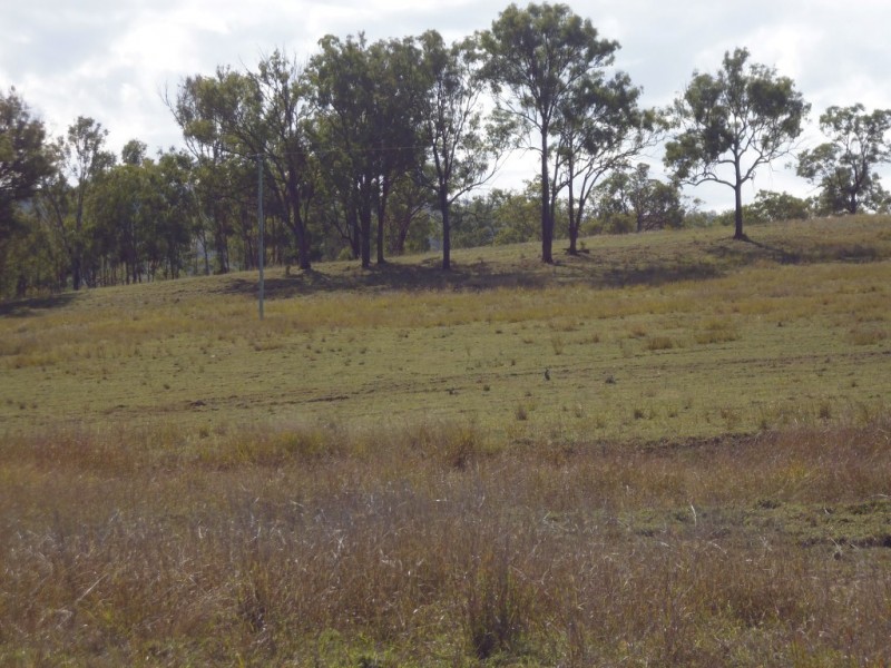 Mount Steadman QLD 4650