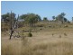 Mount Steadman QLD 4650