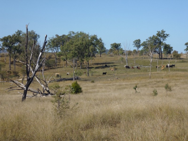 Mount Steadman QLD 4650