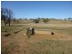 Mount Steadman QLD 4650