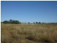 Mount Steadman QLD 4650
