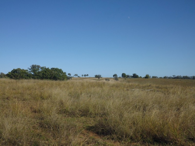Mount Steadman QLD 4650