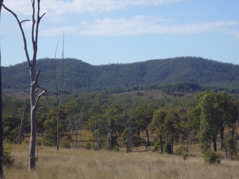 Mount Steadman QLD 4650