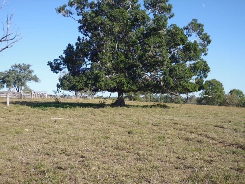 Mount Steadman QLD 4650