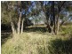Mount Steadman QLD 4650