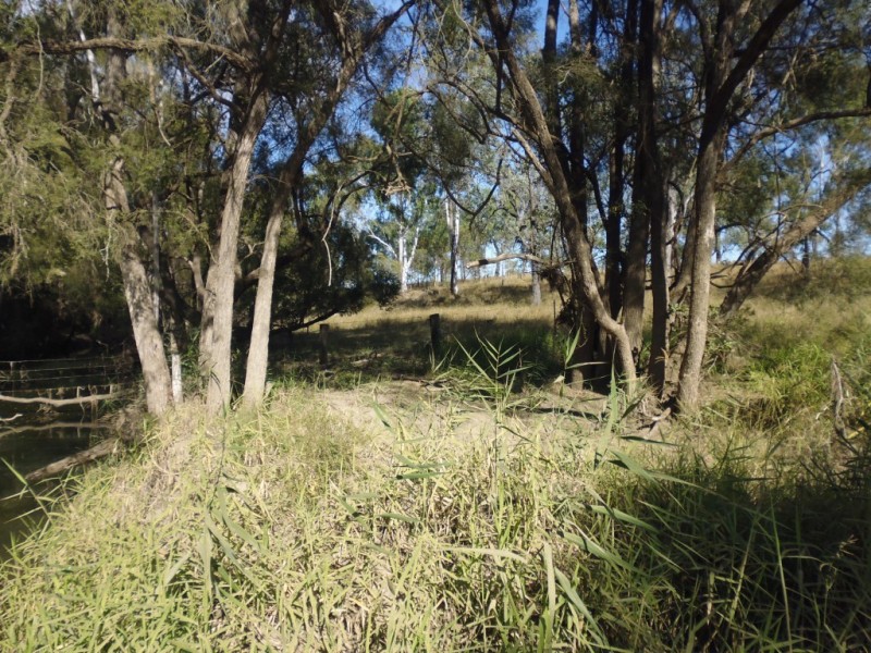 Mount Steadman QLD 4650