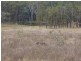 South Isis QLD 4660