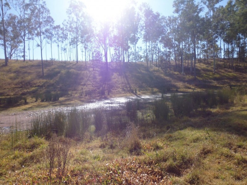 South Isis QLD 4660
