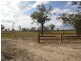 Golden Fleece QLD 4621