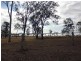 Golden Fleece QLD 4621