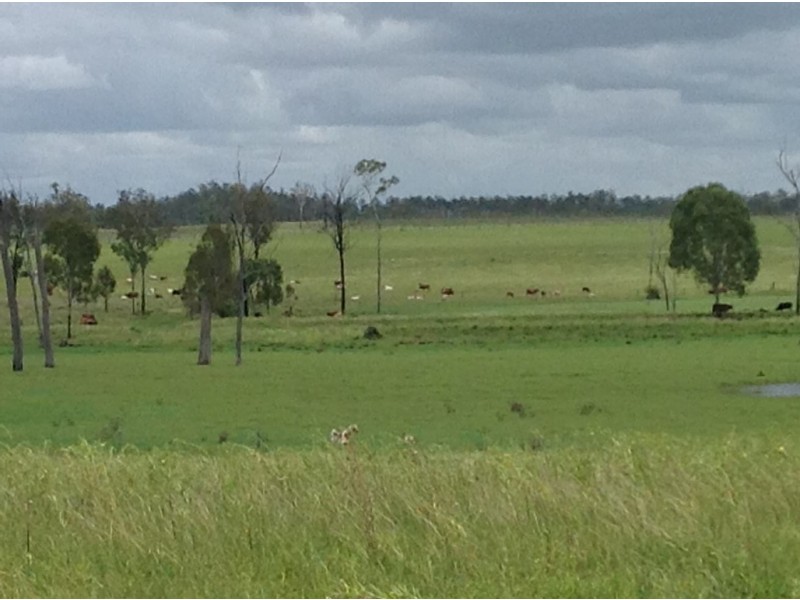 Wallaville QLD 4671