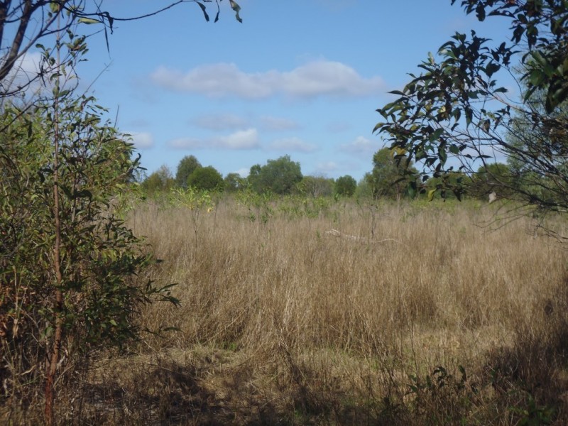 Isis Central QLD 4660