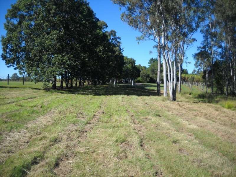 South Isis QLD 4660