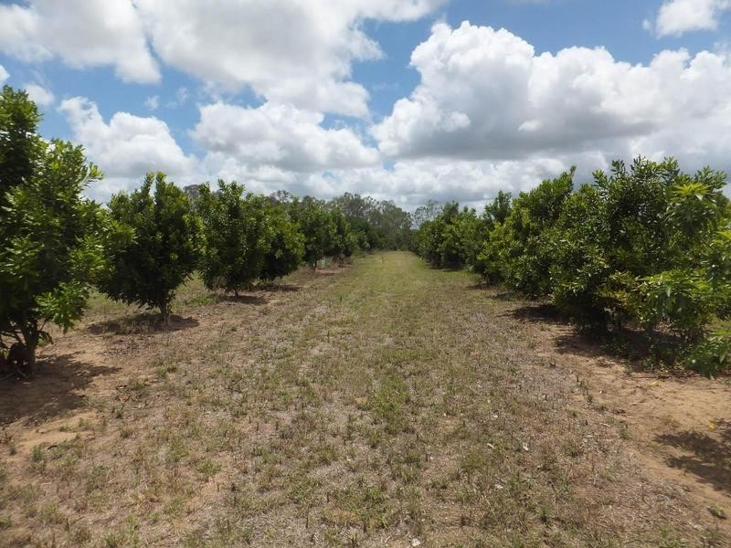 Electra QLD 4670